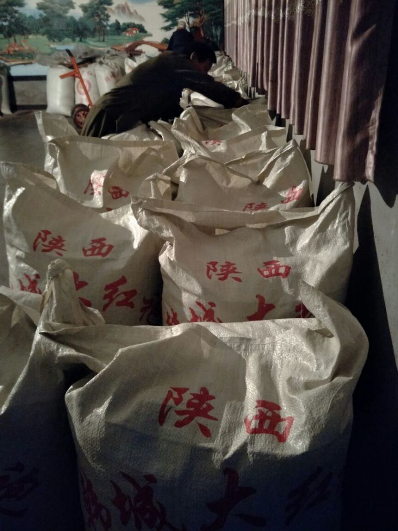 陕西韩城大红袍花椒特级干