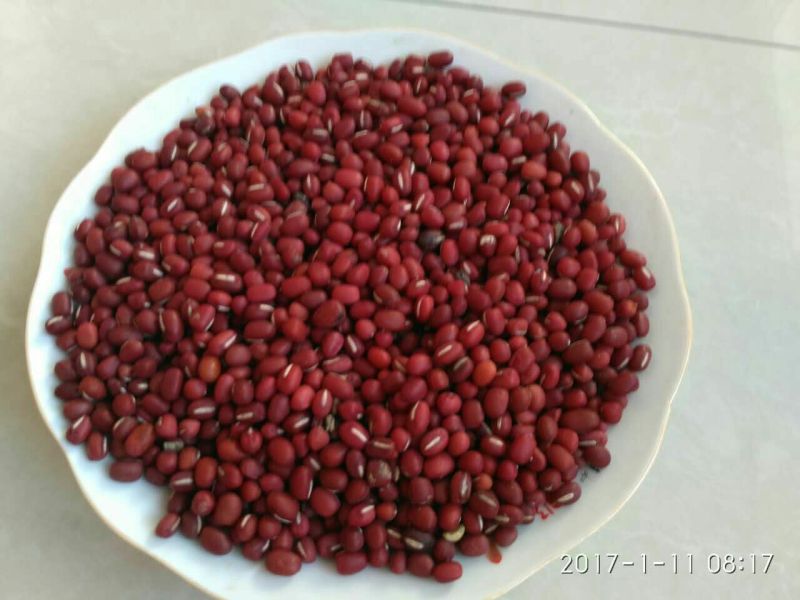 红小豆散装