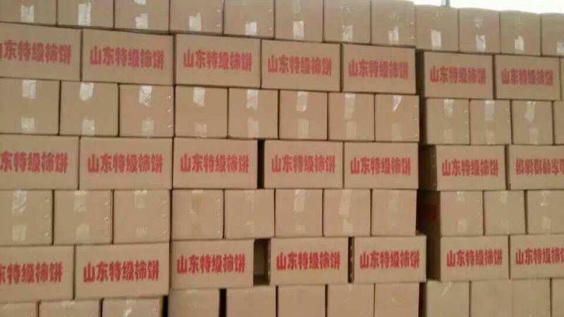 独立包装柿饼优质柿饼吊柿饼批发零售量大从优