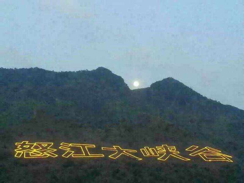 鸡散养土鸡2~3斤