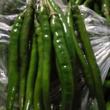 资惟智的农产品批发\/采购