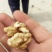 薄皮核桃40mm以上去皮