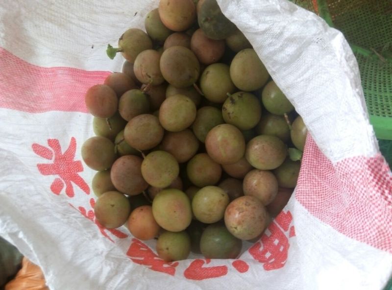 百香果紫果70~80g