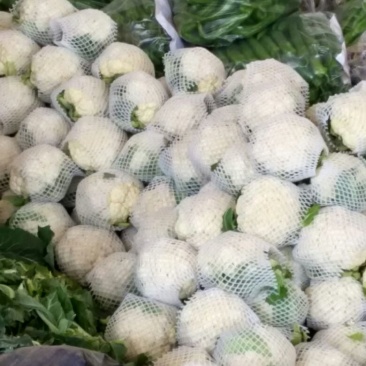 精品菜花，质量保证，产地直发，量大从优可视频看货