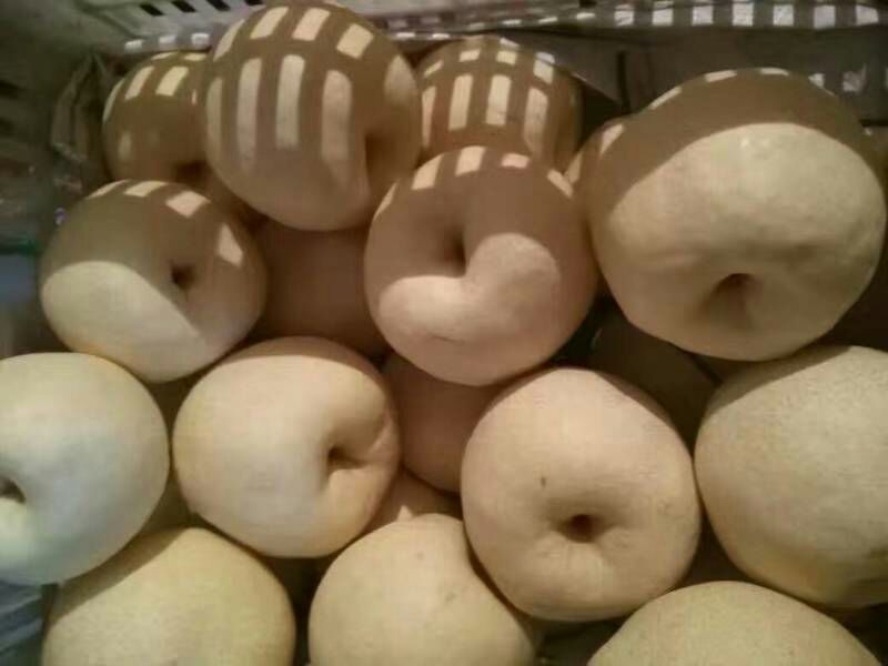 酥梨250~300g纸箱