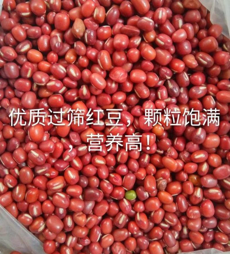 红豆