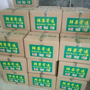红香酥梨150~200g纸箱