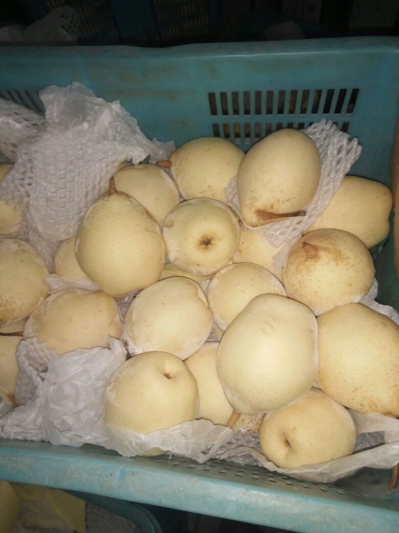 水晶梨300~350g纸箱