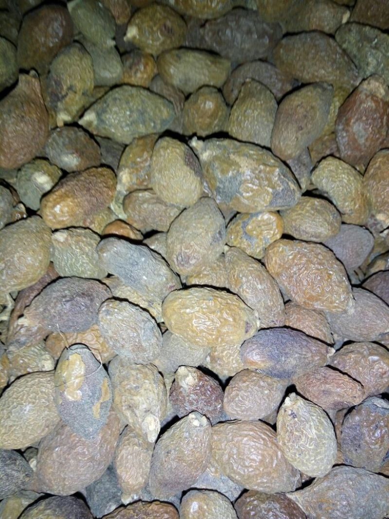 桂丁