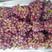 秋红葡萄1~2斤5%以下