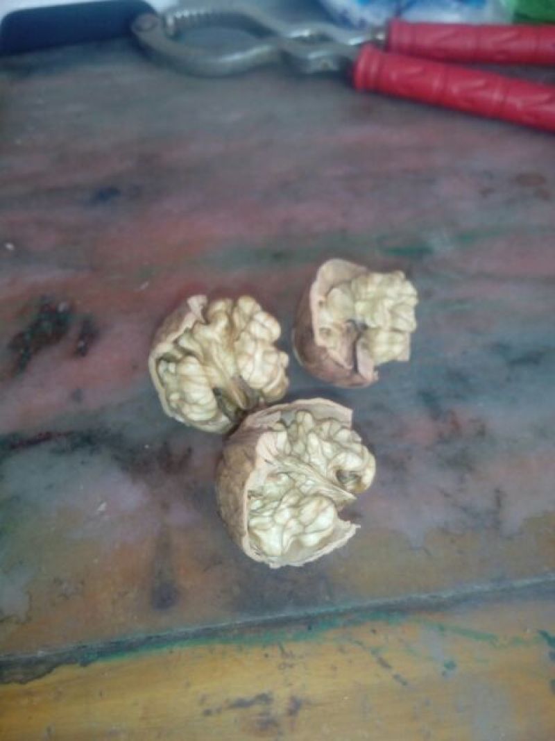 青皮核桃30mm以上去皮
