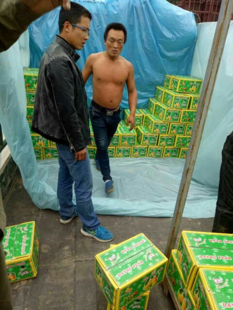 大头梨150~200g纸箱