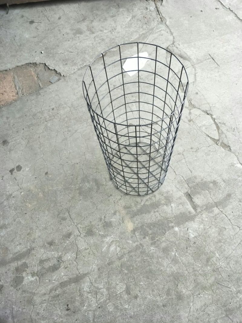 荷兰网