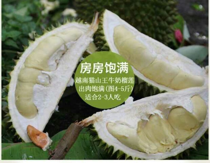 猫山王5~8斤