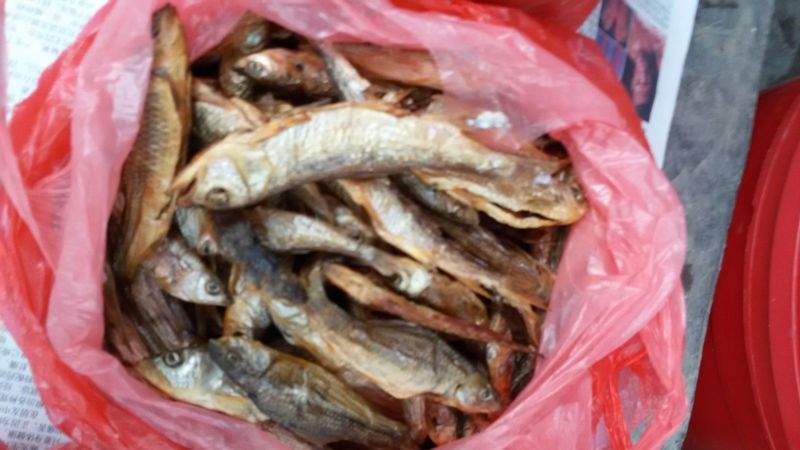 鱼干