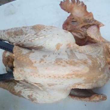 鸡肉散装