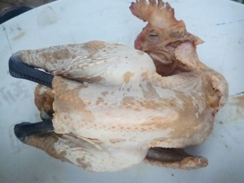 鸡肉散装