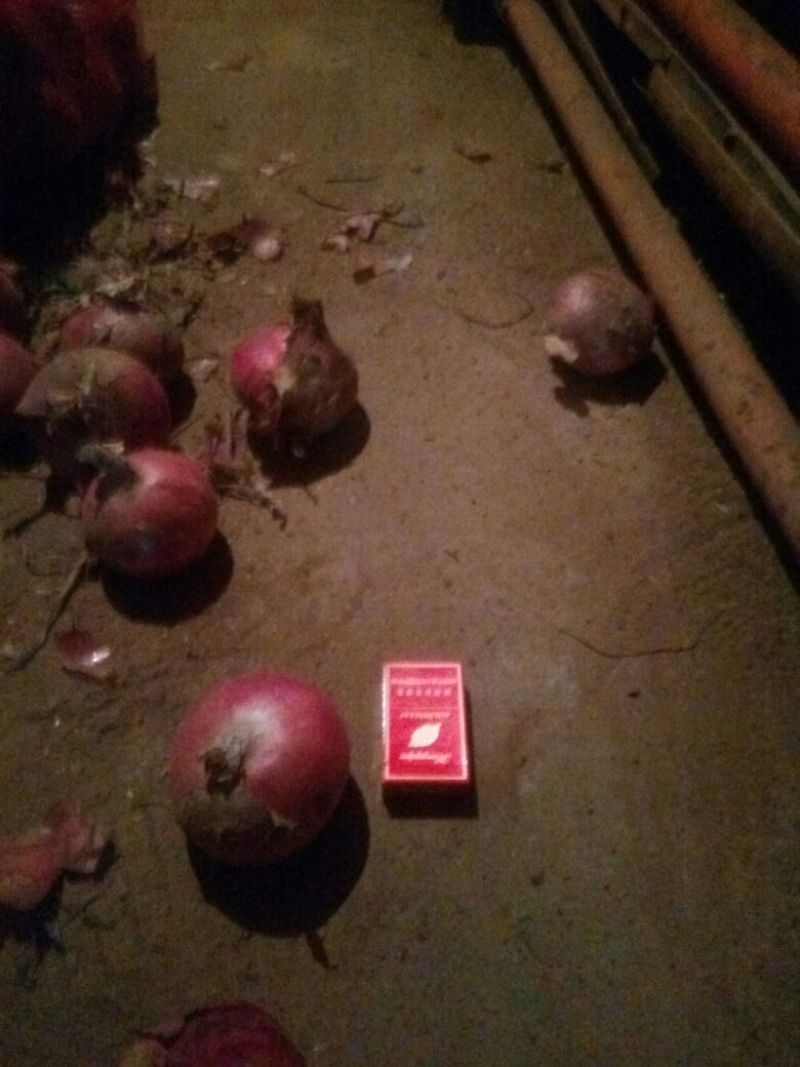 红皮洋葱8厘米以上