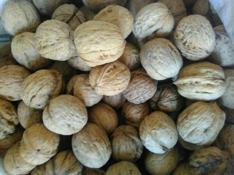 清香核桃40mm以上去皮干