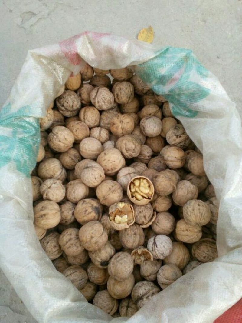 薄皮核桃30mm以上去皮