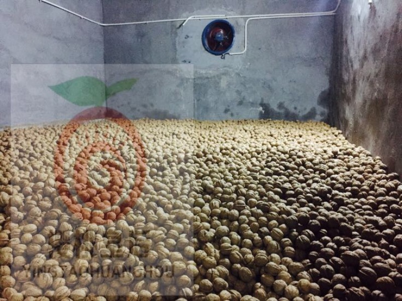 清香核桃