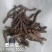 仙茅