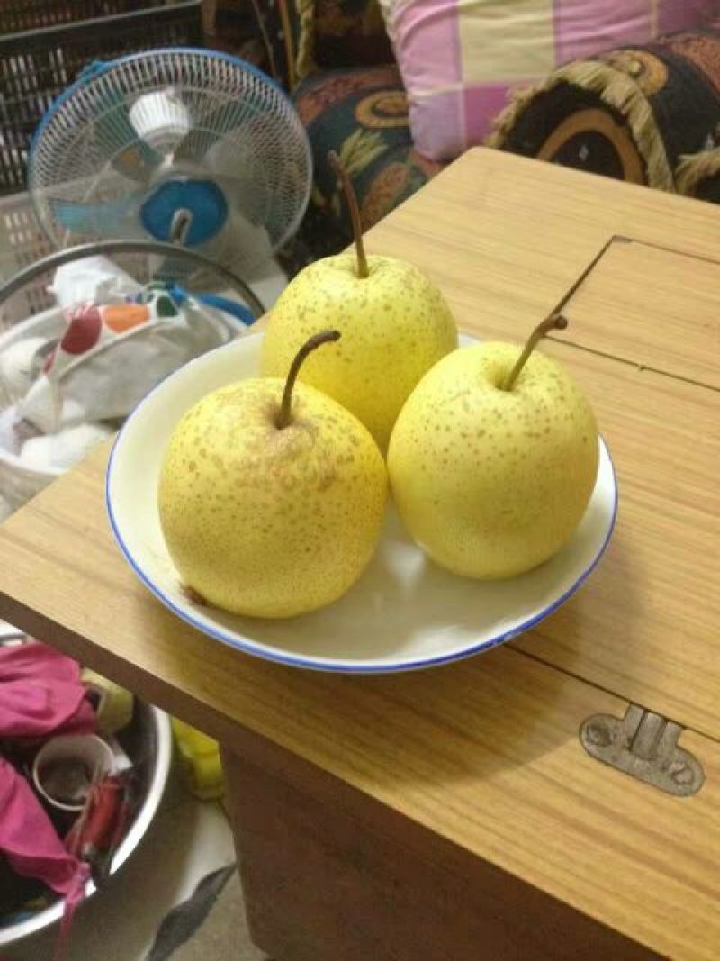 酥梨250~300g纸箱