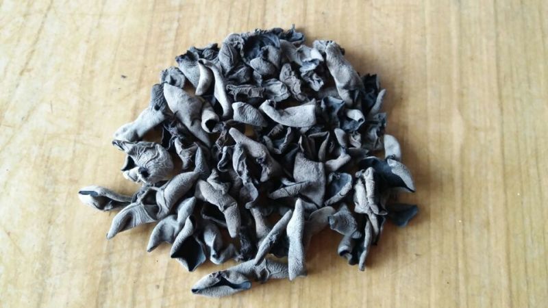 黑木耳一级