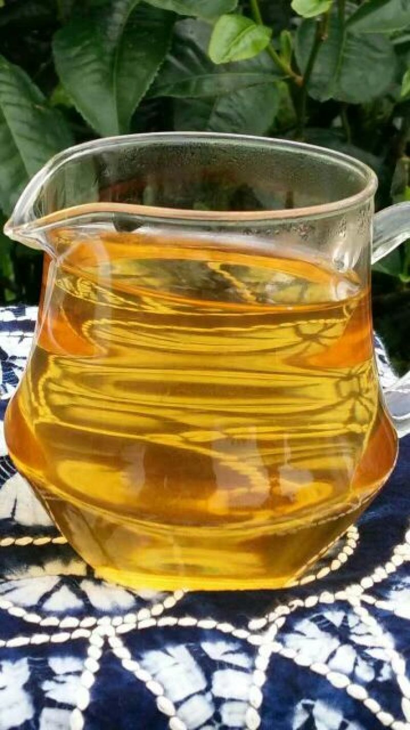 百年大树茶特级