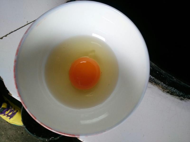 土鸡蛋，一件代发，50g以下食用，林间散养，活动量大