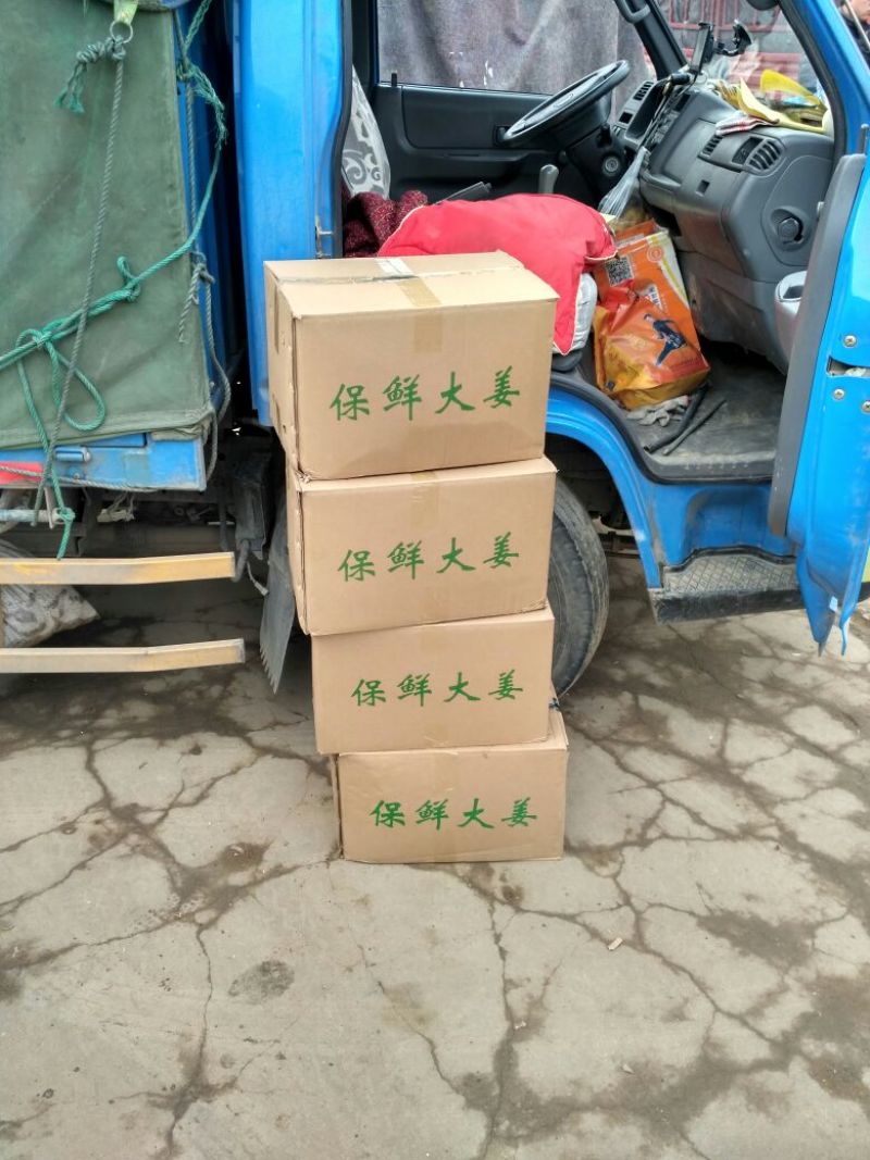 【生姜】6两以上带土产地直发可提供水洗，包装，冷藏