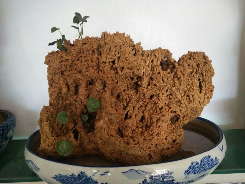 上水石造型漂亮质量保证规格齐全价格合理发货及时