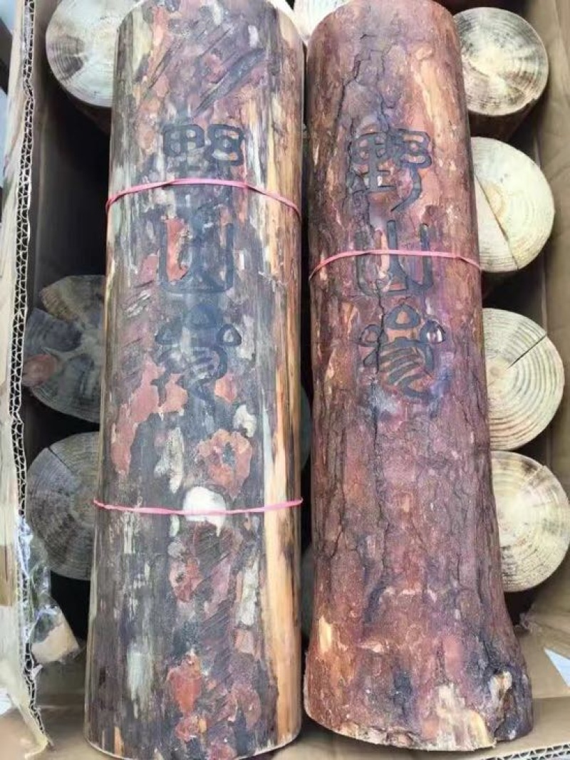 林下参