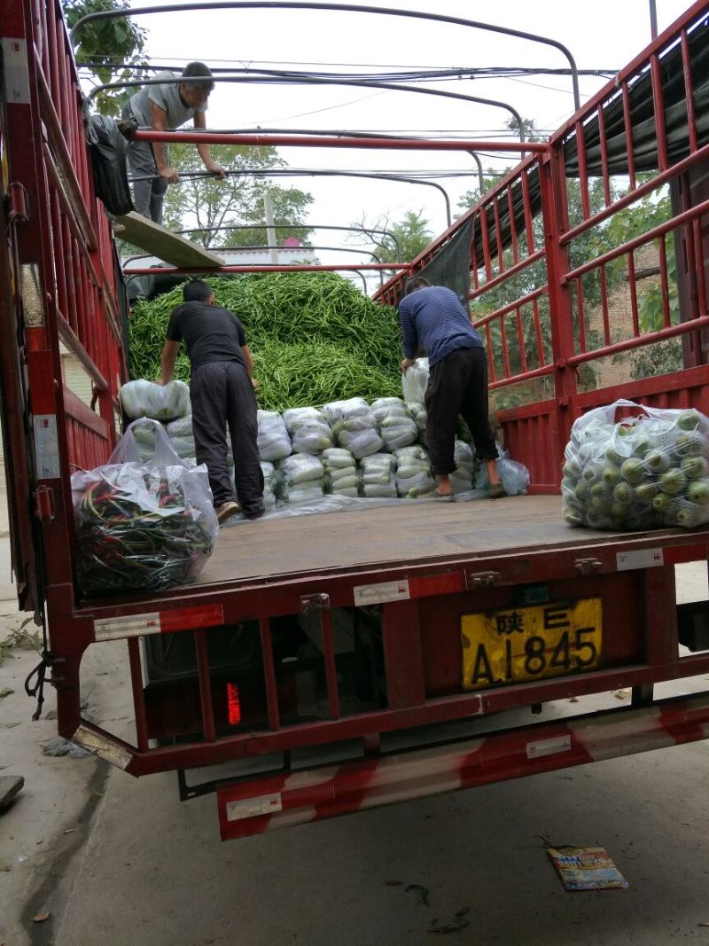 精品二荆条辣椒15~20厘米青中辣，保质保量