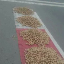 核桃去皮