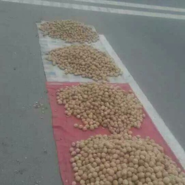 核桃去皮