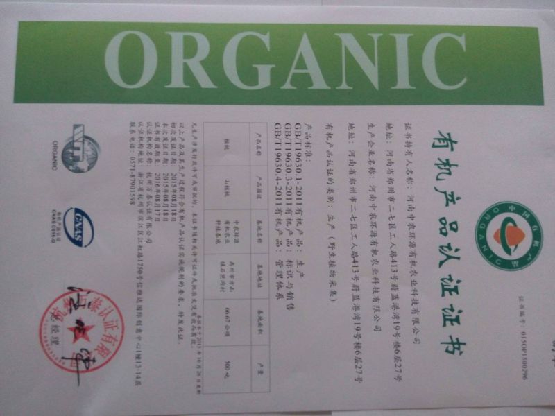 山核桃