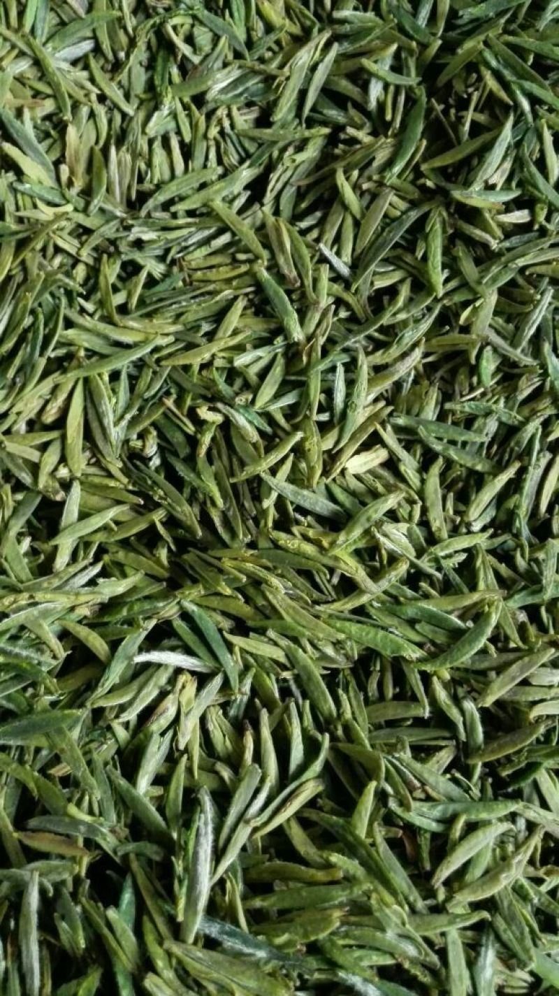 石阡苔茶一级