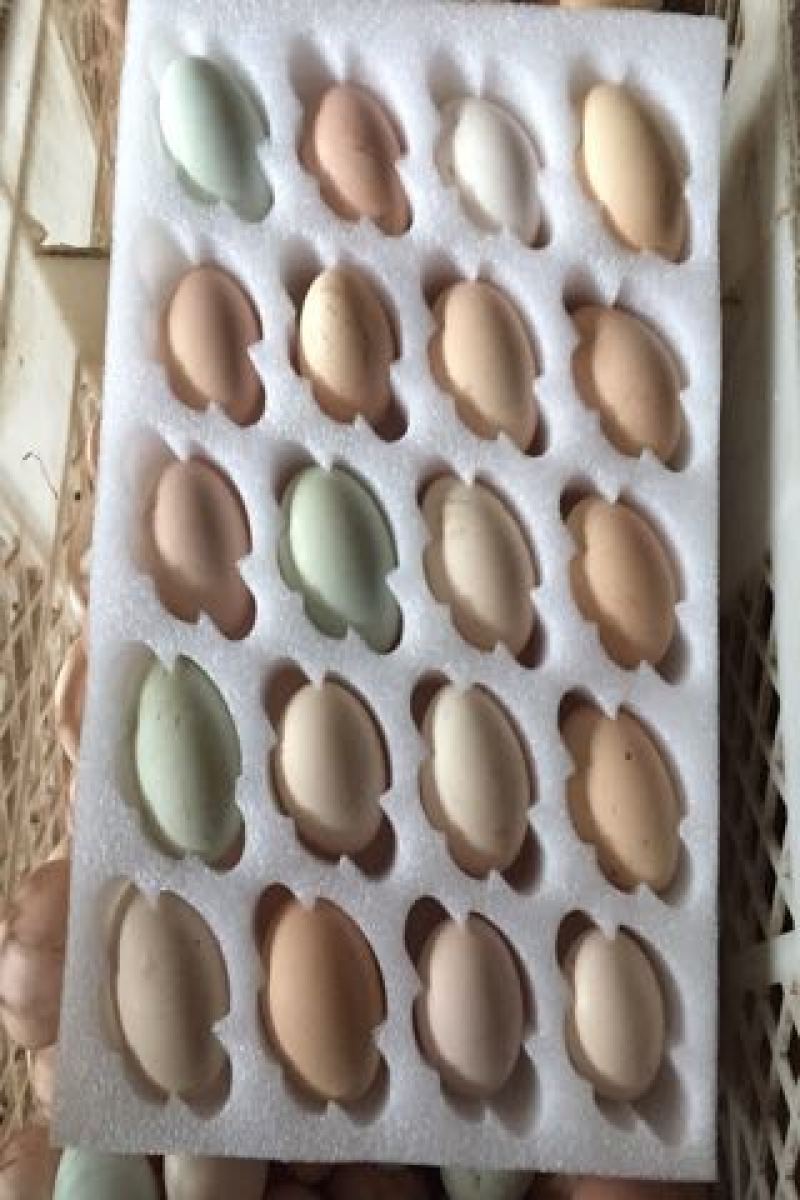 土鸡蛋