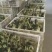 狮头鹅苗250g以下