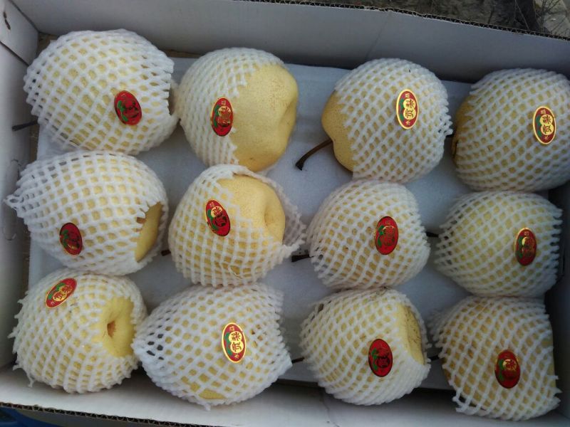 蒲城酥梨300~350g纸箱