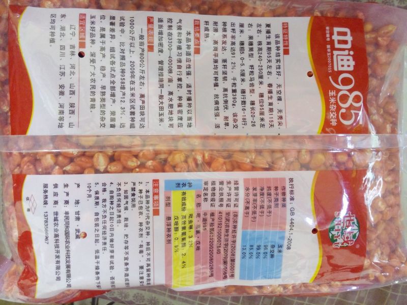 玉米种子
