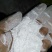 紫薯全粉