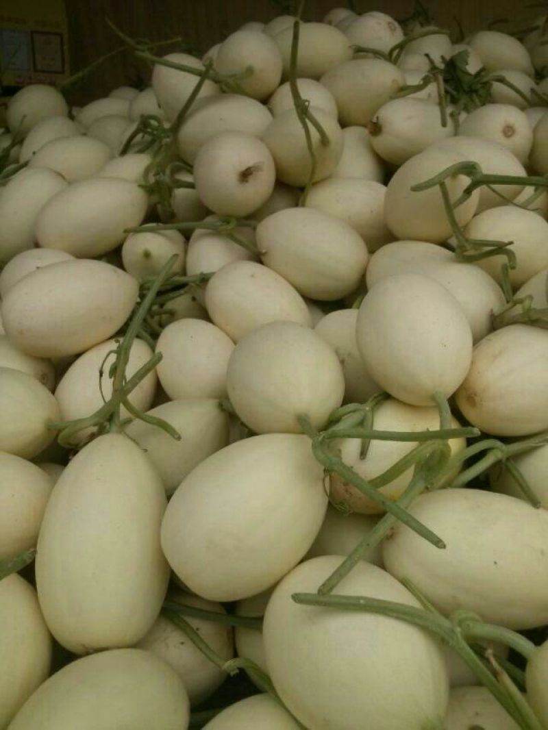 瑞红甜瓜3斤统货