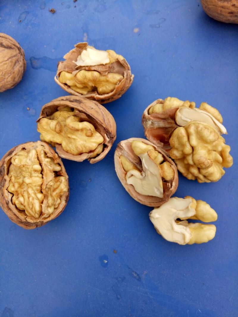 薄皮核桃30mm以上去皮