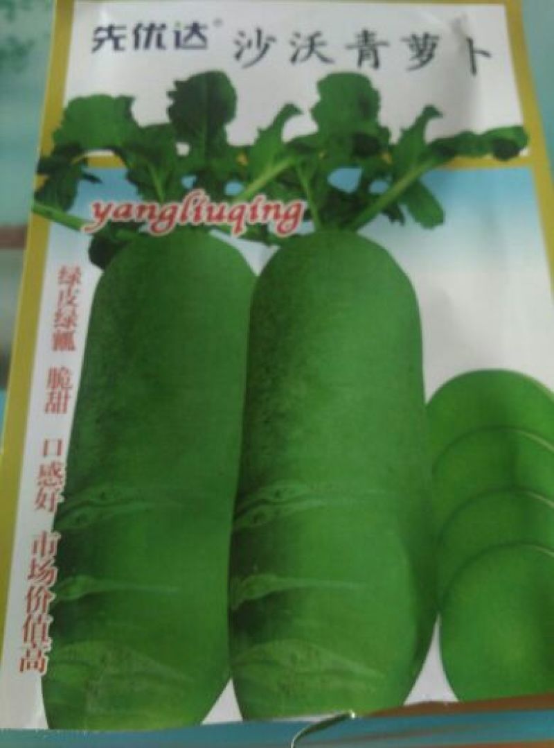 沙窝水果萝卜1~1.5斤起