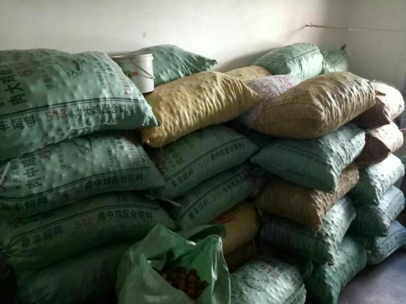 薄皮核桃30mm以上去皮干