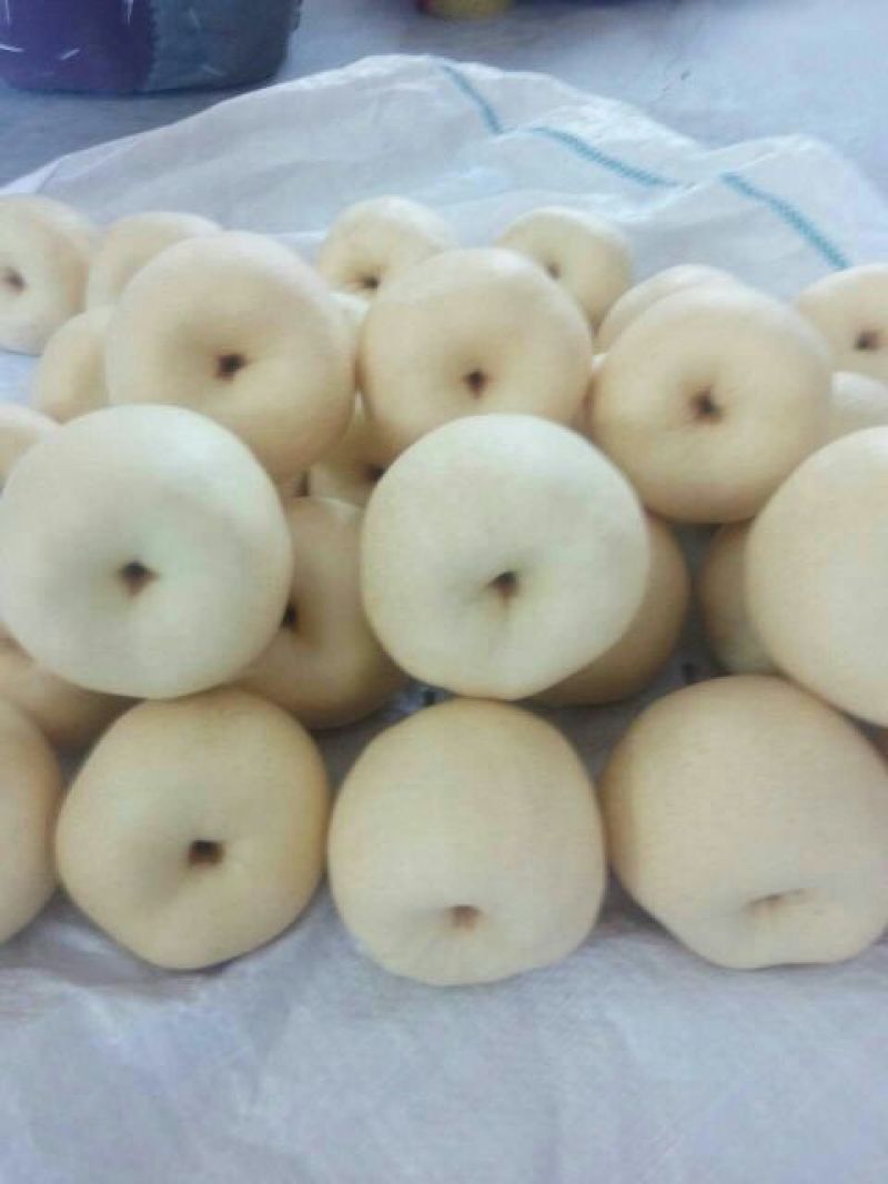 酥梨500~550g纸袋