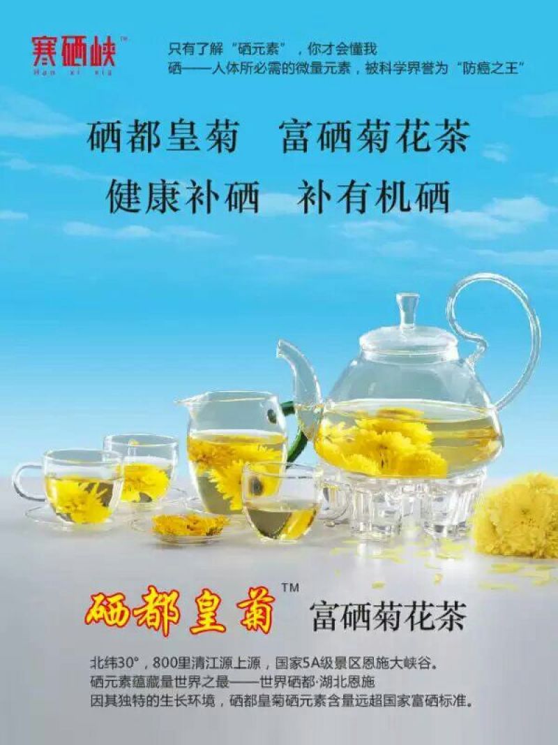 皇菊茶一级