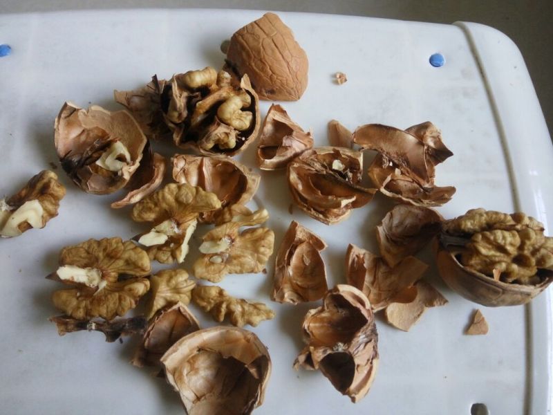 香玲核桃30mm以上去皮干